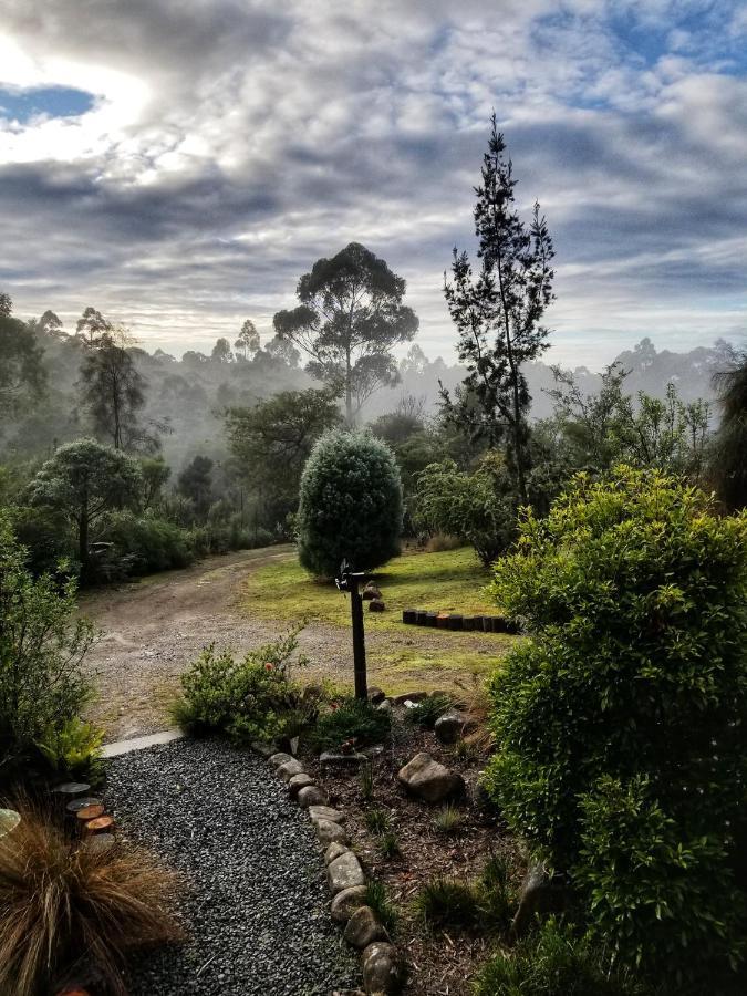 Southern Forest Accommodation Southport Extérieur photo