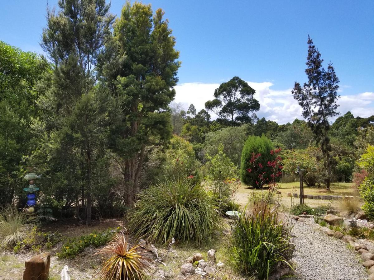 Southern Forest Accommodation Southport Extérieur photo