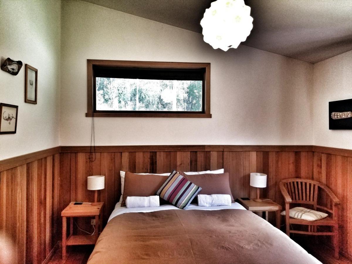 Southern Forest Accommodation Southport Extérieur photo