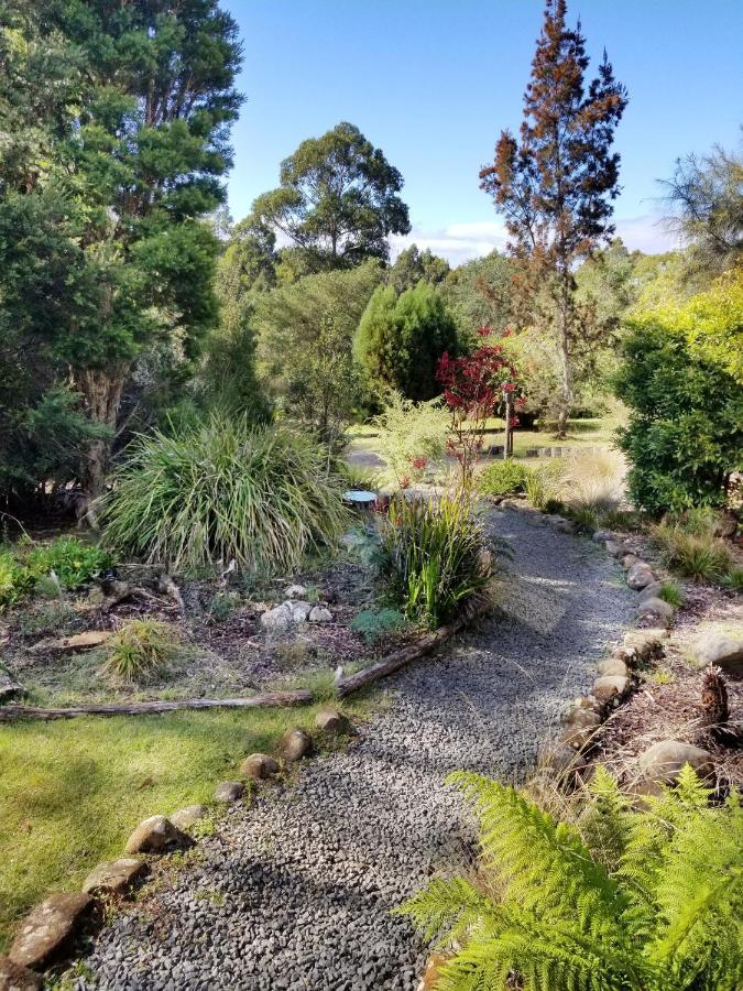 Southern Forest Accommodation Southport Extérieur photo