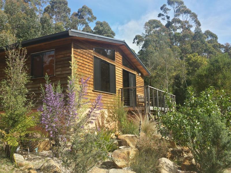 Southern Forest Accommodation Southport Extérieur photo
