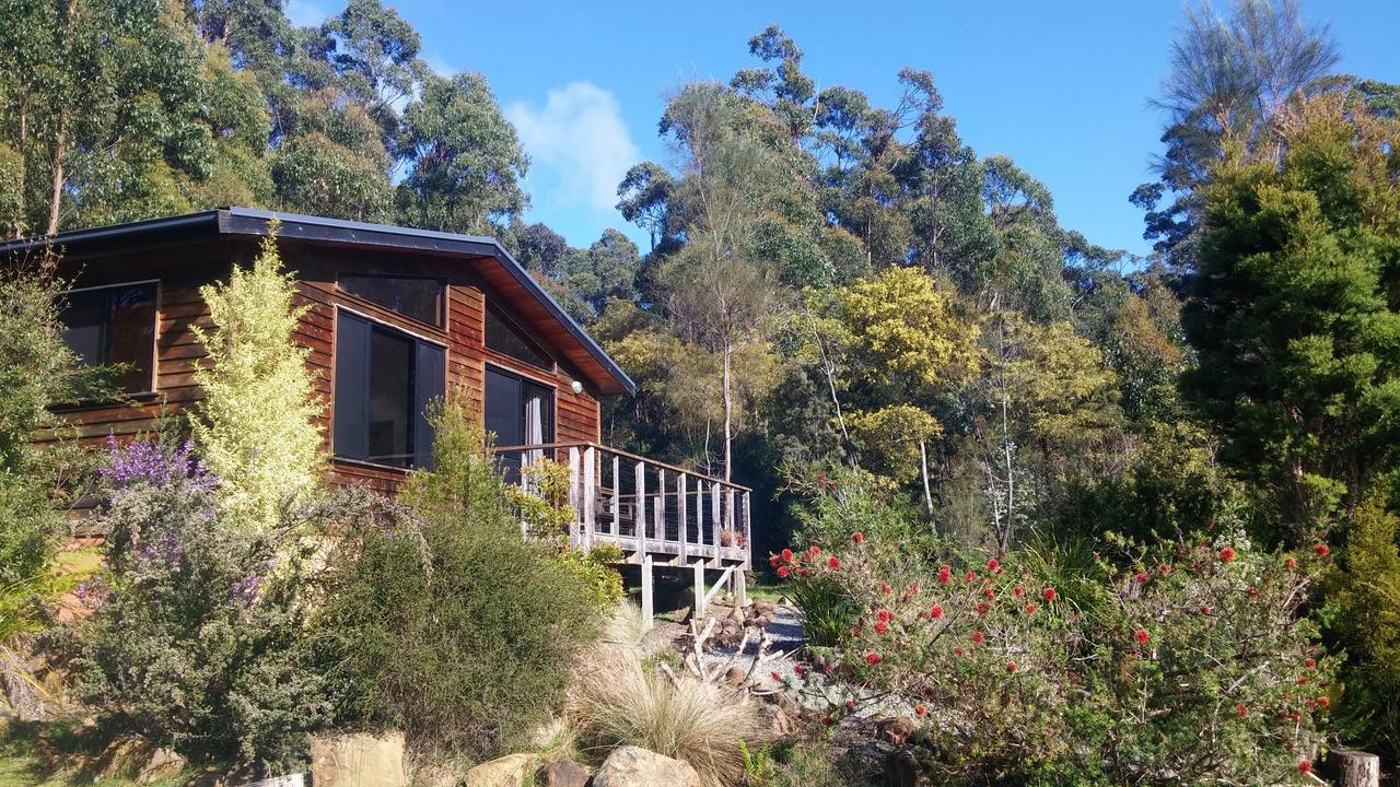 Southern Forest Accommodation Southport Extérieur photo