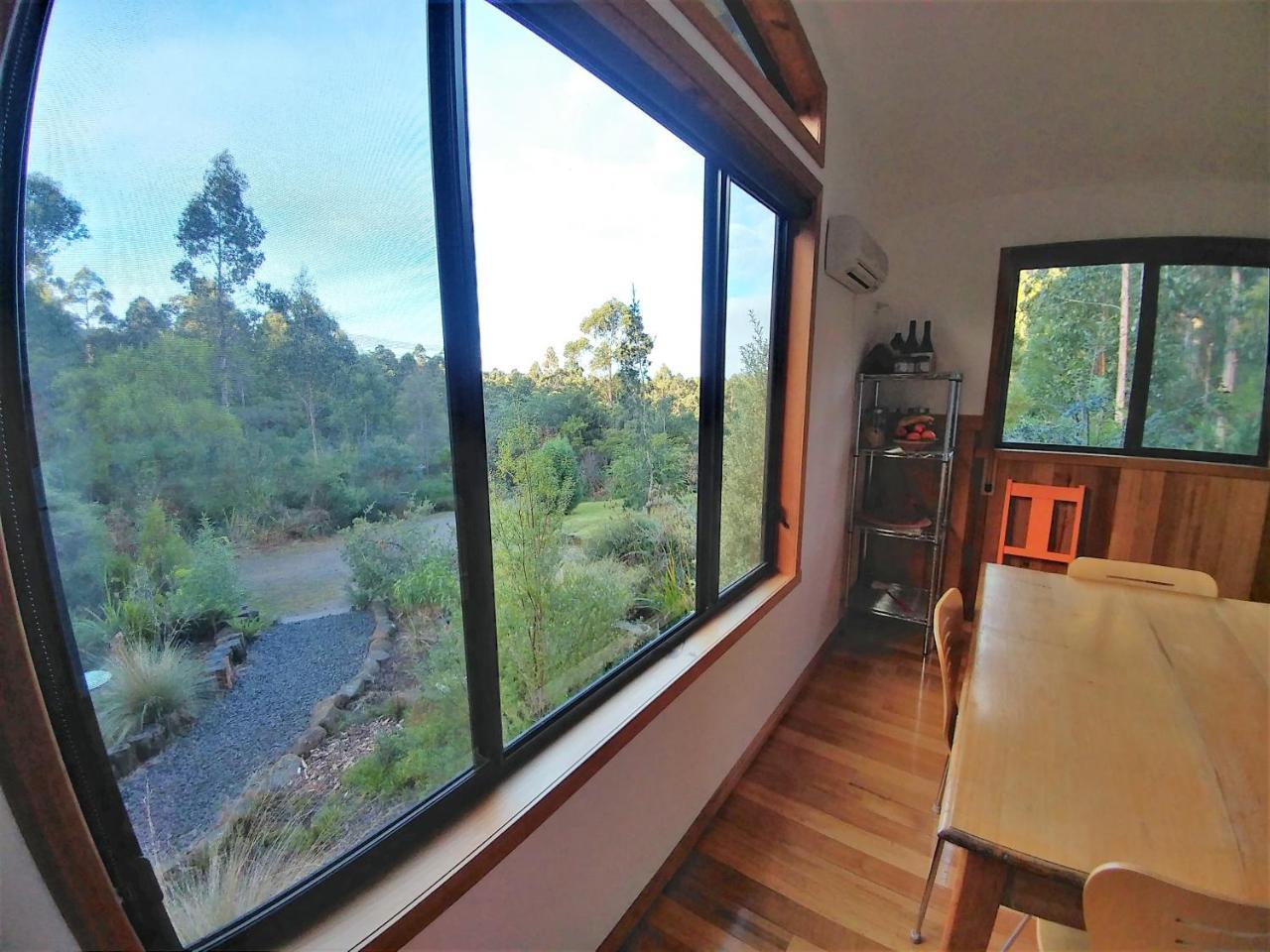 Southern Forest Accommodation Southport Extérieur photo