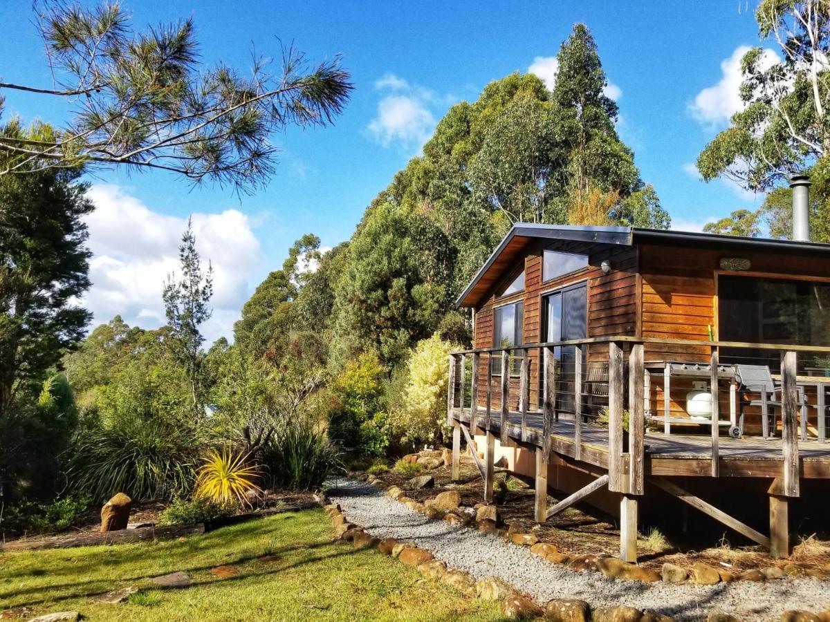 Southern Forest Accommodation Southport Extérieur photo