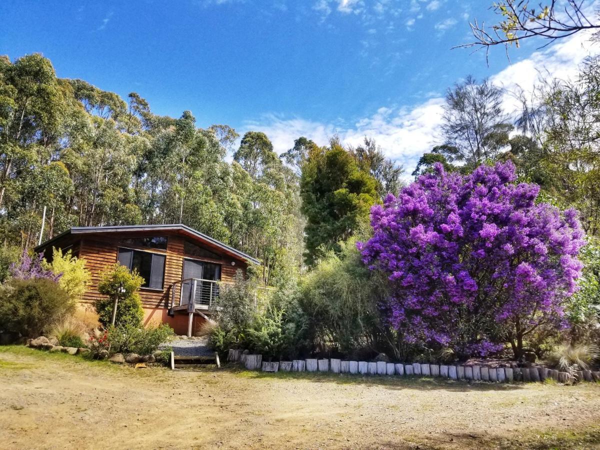 Southern Forest Accommodation Southport Extérieur photo